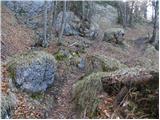 Kraljev hrib - Gradišče (Velika planina)